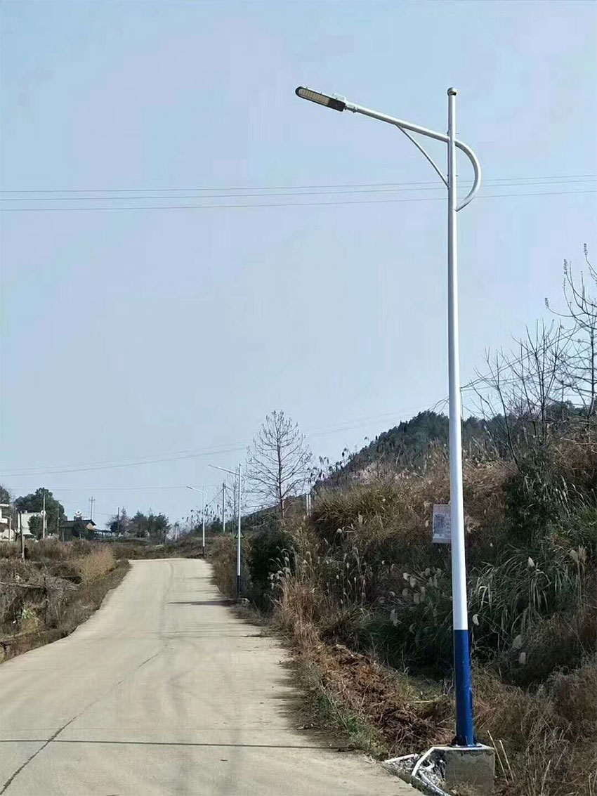 市電路燈LRSD005(路之光)